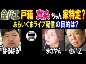 【金バエ】戸籍情報【真央ちゃん】家特定される!?「あらいぐまライブ配信の目的は?」【まさやん】【せいZ】