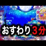 【P大海物語5スペシャル】実践動画!お座り3分後に何が起きた⁉️(編集部ビル 実践動画2025/02/25,26)