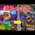 【猫ミーム】最近のパチンコ難しくね？って話