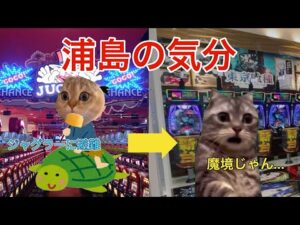 【猫ミーム】最近のパチンコ難しくね？って話