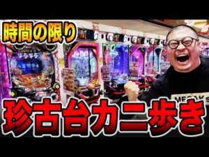 時間の限り珍古台カニ歩き！！[パチンコ・パチスロ]