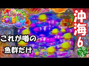 1月7日　パチンコ実践　Pスーパー海物語IN沖縄6　今日は快勝　何か得した気分　1回転で魚群が2回