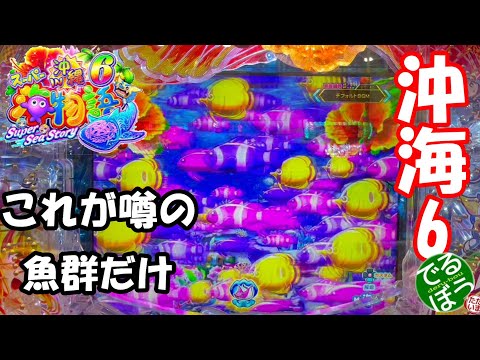 1月7日　パチンコ実践　Pスーパー海物語IN沖縄6　今日は快勝　何か得した気分　1回転で魚群が2回
