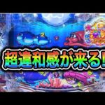 【749.750日目】大海物語5スペシャル実践動画!ぶるぶるチャンスの新法則発見?!(ガチ実践動画2025/6/7.8)