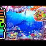 【新台P海物語極JAPAN】4円パチンコライブ配信!(ガチ実践ライブ2025/6/27)【747日目】