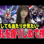 【ガンダムSEED新台】どうしても当たりが見たい！万札を握りしめて奇跡を信じた結果【パチンコ】
