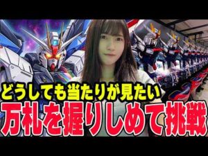 【ガンダムSEED新台】どうしても当たりが見たい！万札を握りしめて奇跡を信じた結果【パチンコ】