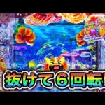 【Ｐスーパー海物語IN沖縄6】1度も当たらず投資5万円... 意地でも取り返せるか⁉️(編集部 ビル 実践動画2025/11/23）