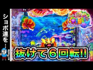 【Ｐスーパー海物語IN沖縄6】1度も当たらず投資5万円... 意地でも取り返せるか⁉️(編集部 ビル 実践動画2025/11/23）