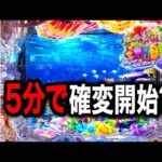 【Ｐスーパー海物語IN沖縄6】開始5分で確変スタート⁉️(編集部 ビル 実践動画2026/01/13,14）