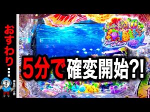 【Pスーパー海物語IN沖縄6】開始5分で確変スタート⁉️(編集部 ビル 実践動画2026/01/13,14)