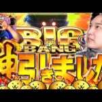 【島娘・にゃんこ】リベンジに燃える男の物語【いそまるの成り上がり回胴録第882話】[パチスロ][スロット]#いそまる#よしき