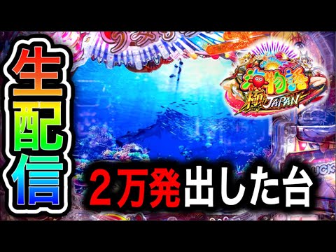 【新台P海物語極JAPAN】4円パチンコライブ配信!(ガチ実践ライブ2025/6/28)【748日目後半】