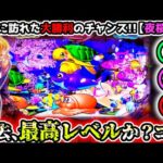 "ついに訪れた、最大級のチャンス到来!!"【PAスーパー海物語 IN 沖縄5 夜桜超旋風 99ver.】《ぱちりす日記》 海物語 99 甘デジ