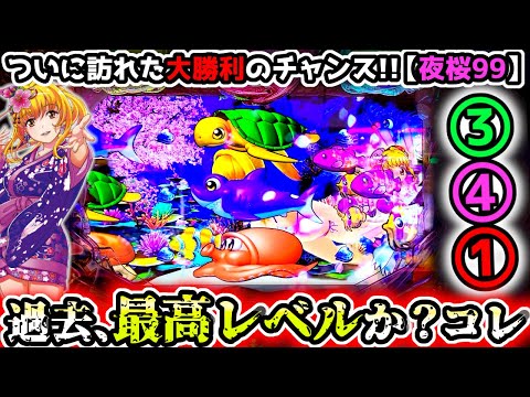 "ついに訪れた、最大級のチャンス到来!!"【PAスーパー海物語 IN 沖縄5 夜桜超旋風 99ver.】《ぱちりす日記》 海物語 99 甘デジ