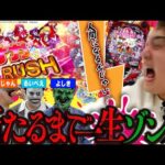 【Pゾンサガ】人間に戻れるまで帰れま10!!