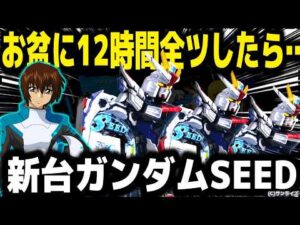 【パチンコ 新台 ガンダムシード】お盆にSEED１日粘ったら...【パチンコ 実践】【ひでぴ パチンコ】