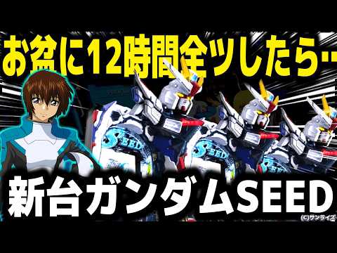 【パチンコ 新台 ガンダムシード】お盆にSEED１日粘ったら...【パチンコ 実践】【ひでぴ パチンコ】
