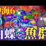【沖海6】地味ながら激アツの白蝶🦋＆魚群発生‼️🐠そして絶好調モードへ…！ぱちぱちTV【1157】Pスーパー海物語IN沖縄6 第35話 #海物語#パチンコ#ぱちぱちtv
