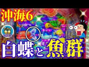 【沖海6】地味ながら激アツの白蝶🦋&魚群発生‼️🐠そして絶好調モードへ…!ぱちぱちTV【1157】Pスーパー海物語IN沖縄6 第35話 #海物語#パチンコ#ぱちぱちtv