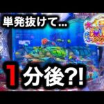 【P大海物語5スペシャル】3日間同じ台を打つと勝てるのか⁉️(編集部 ビル 実践動画2025/07/31,08/02,05)