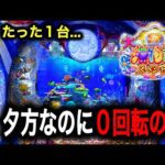 【P大海物語5スペシャル】実践動画!夕方まで0回転のまま避けられていた台を打つと⁉️(編集部ビル 実践動画2025/02/28,03/01)