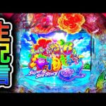 【沖海6】4円パチンコライブ配信！（ガチ実践ライブ2025/11/29【809日目】