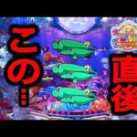 【P大海物語5スペシャル】実践動画!ショボ連抜けて3回転後に⁉️(編集部ビル 実践動画2025/03/30)