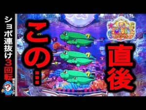 【P大海物語5スペシャル】実践動画!ショボ連抜けて3回転後に⁉️(編集部ビル 実践動画2025/03/30)