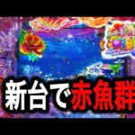 【Pスーパー海物語IN沖縄6】新台導入初日に幻の赤魚群が登場⁉️(編集部 ビル 実践動画2025/10/08,09)