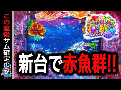 【Pスーパー海物語IN沖縄6】新台導入初日に幻の赤魚群が登場⁉️(編集部 ビル 実践動画2025/10/08,09)