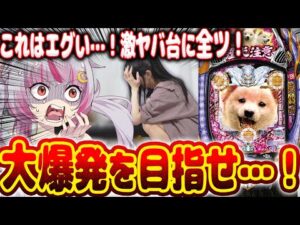 【挑む】激ヤバ台と噂の台…!!なんだこの台は…!!!エグいwwおもろいwwwwwww新台【Pアナザーゴッドハーデス‐獄炎‐】パチンコ 実践 #はてぃパチ #真神ハティ