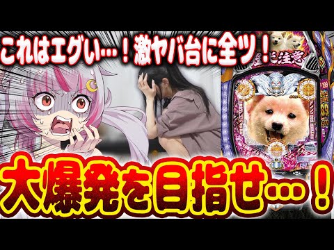 【挑む】激ヤバ台と噂の台…!!なんだこの台は…!!!エグいwwおもろいwwwwwww新台【Pアナザーゴッドハーデス‐獄炎‐】パチンコ 実践 #はてぃパチ #真神ハティ