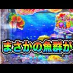 【865日目】 Pスーパー海物語in沖縄6実践動画！（ガチ実践動画2026/6/19）