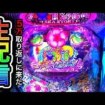 【沖海5夜桜超旋風】4円パチンコライブ配信2026/8/21【890日目】