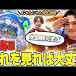 【大海5】れんじろう、海の面白さを知る【れんじろうのど根性弾球録第399話】[パチンコ]#れんじろう
