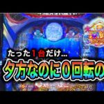 【761日目】大海物語5スペシャル実践動画!令和7年7月7日は勝てるのか?!(ガチ実践動画2025/7/7)