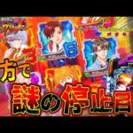 【新世紀エヴァンゲリオン ~未来への咆哮】夕方に起こった謎の停止目の結末は?!