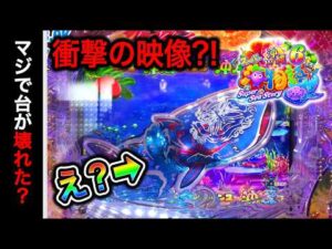 【872日目】 Pスーパー海物語in沖縄6実践動画！（ガチ実践動画2026/7/7）