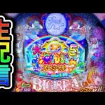 大海物語5スペシャル!4円パチンコライブ配信!(ガチ実践ライブ2025/4/10)【736日目夜】