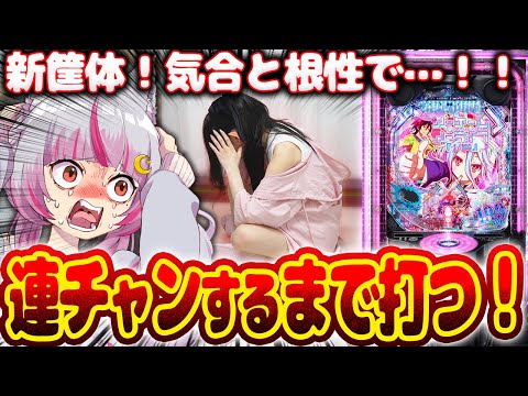 【新筐体】ついに挑むぜ…！！この台にポテンシャルはあるのか…？！アッシェンテ！！！！！　 新台【eノーゲーム・ノーライフ 199Ver.】パチンコ 実践 #はてぃパチ #真神ハティ