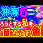 帰ろうとする私を～引き留めようとする魚群『Pスーパー海物語IN沖縄6』