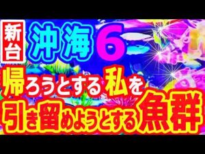 帰ろうとする私を～引き留めようとする魚群『Pスーパー海物語IN沖縄6』