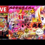 戦国乙女7デカヘソパチンコライブ配信