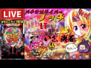 戦国乙女7デカヘソパチンコライブ配信
