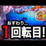 【746日目】P海物語 極JAPAN実践動画!オスイチから始まる爆裂物語?!(ガチ実践動画2025/5/29)