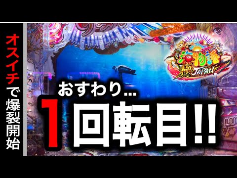 【746日目】P海物語 極JAPAN実践動画!オスイチから始まる爆裂物語?!(ガチ実践動画2025/5/29)