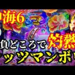 【沖海6】勝負どころで灼熱の「レッツマンボウ♪」さあどうなる⁉️ぱちぱちTV【1154】Pスーパー海物語IN沖縄6 第32話 #海物語#パチンコ#ぱちぱちtv