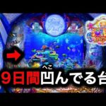 【P大海物語5スペシャル】実践動画!9日間ヘコんでる台を打つとどうなる⁉️(編集部ビル 実践動画2025/01/24)