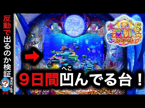 【P大海物語5スペシャル】実践動画！9日間ヘコんでる台を打つとどうなる⁉️(編集部ビル 実践動画2025/01/24）